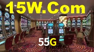 Programa VIP 55G